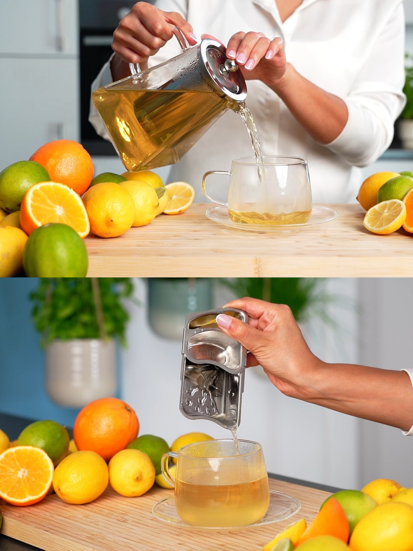 LEMONEASY PLUS